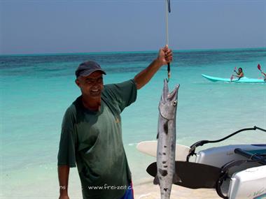 2004 Cuba, Cayo Levisa, DSC00662 B_B720
